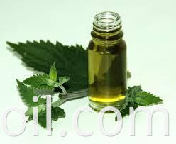 catnip oil